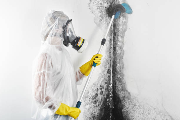 Best Airborne Mold Testing  in China Grove, TX